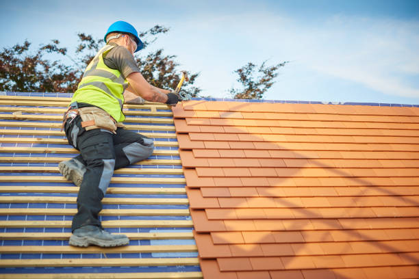 Best Gutter Installation and Repair  in Orange Blossom, CA