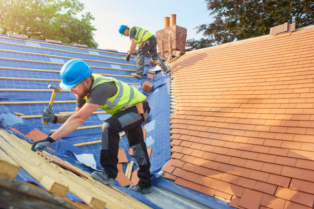 Best Solar Panel Roofing Installation  in Orange Blossom, CA